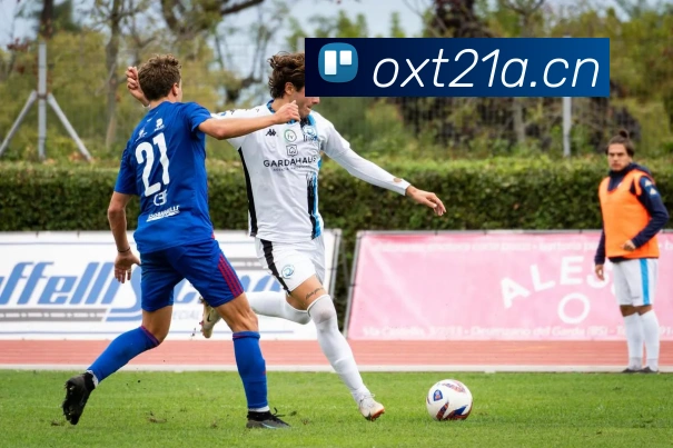 emc体育官网登录入口APP 封面图